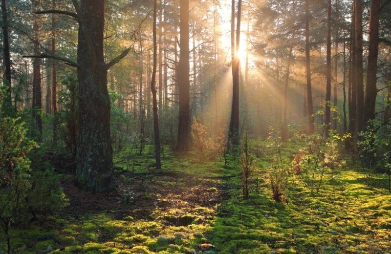 Cycling route to Baest estate