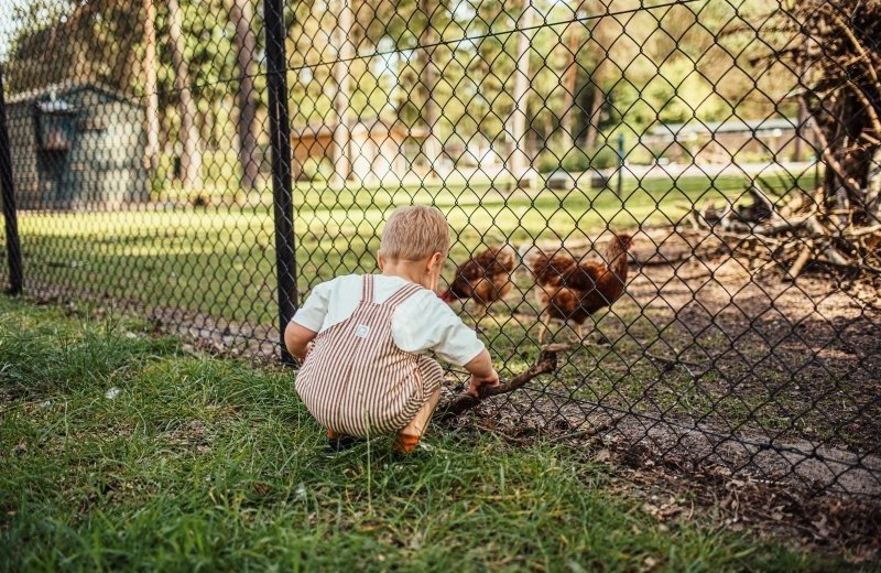 Camping met dierenverblijf 67d3ef5ecfe00