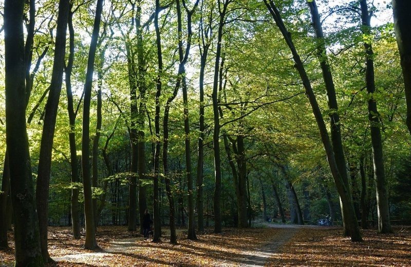 Kempen and Kampina - Bicycle route