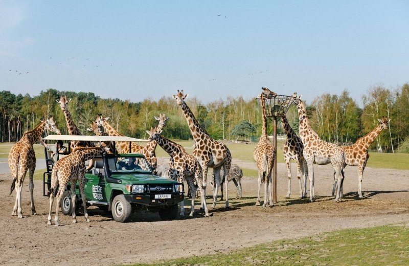 Safari park Beekse Bergen